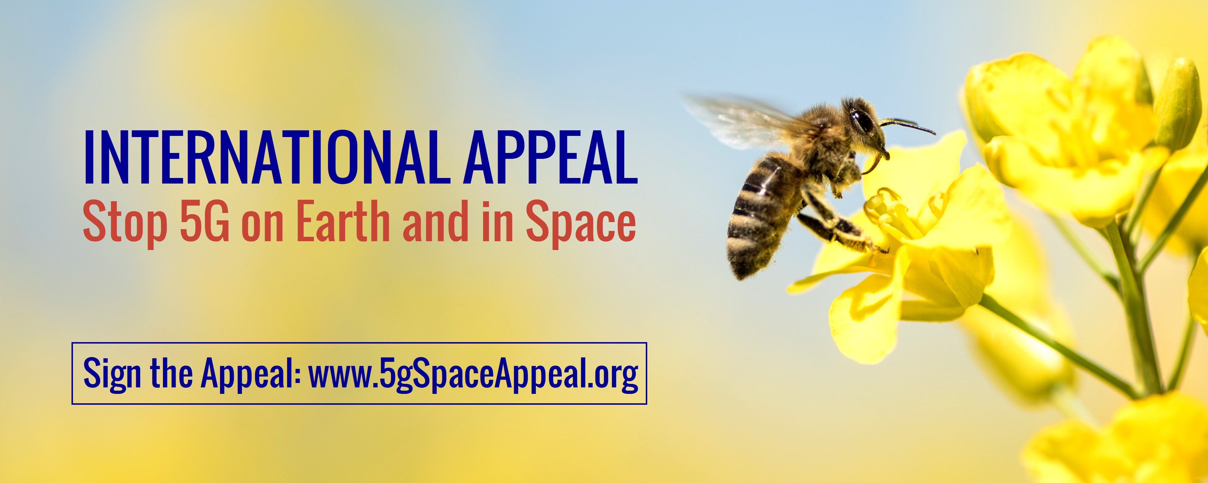 Sign the International Stop 5G Space appeal International Stop 5G Space appeal