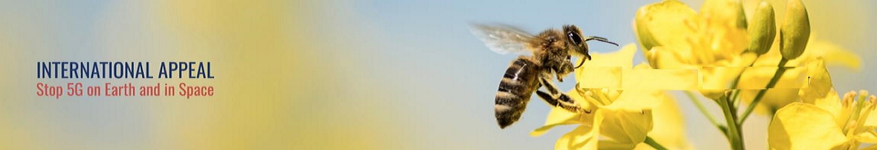 International Appel Stop 5G